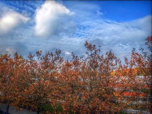 autumn sky orange color leaves canon hdr luminance g11