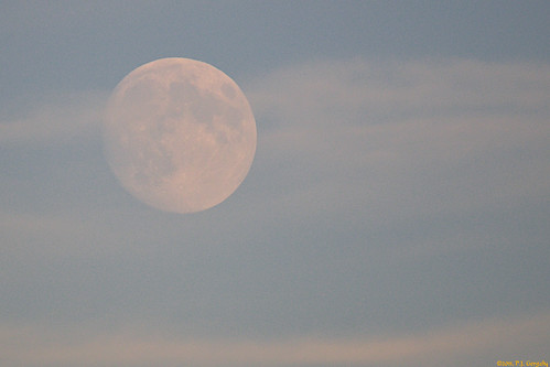 moon bravo cropped grouptags allrightsreserved©drgnmastrpjg dmslair ©pjgergelyallrightsreserved