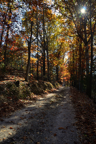outdoors fallcolor hiking missouri gsa ozarks autumncolour nikond7000 busiekstateforestandwildlifearea journal2011