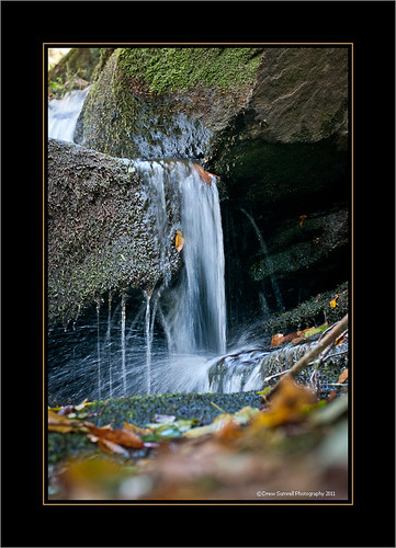fall water leaves creek nikon october goshencreek