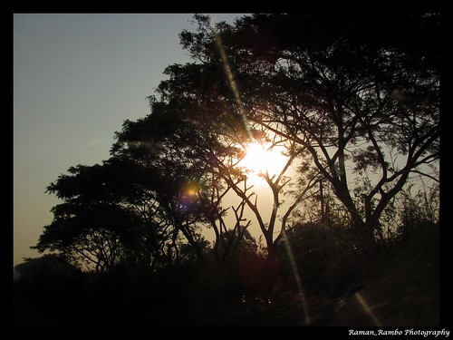 trees sunrise lic jeevan badlapur aadhar