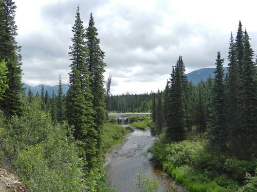 west alaska creek highway healy spruce culverts parkshighway downstream