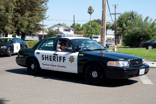 california usa policecar ripon fordcrownvictoria sanjoaquincounty contracostacountysheriffsdepartment cccdsd riponmenloparkemergencyvehicleshow2011