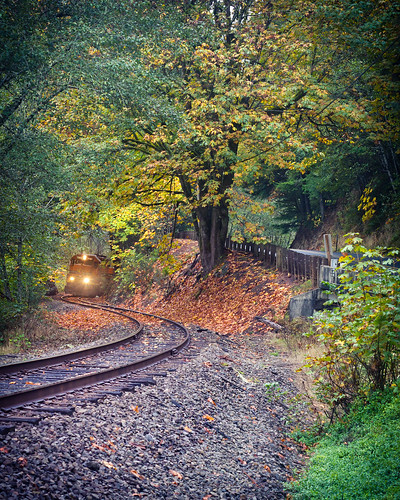 railroad autumn trees fall nature leaves oregon landscape or traintracks pacificcoast highway20 eddyville purviance 44654424123791139