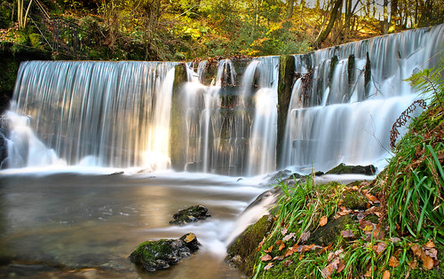 autumn trees light fall water leaves river waterfall moss nikon rocks ambleside stockghyll d3000