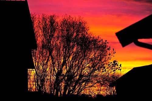 november sunset home colors beautiful garden evening twilight nikon sweden sverige nikkor 70200 f28 vr hemma trädgård solnedgång färger 2011 vacker kväll nikkorglass d700
