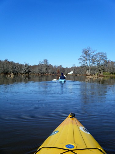 southcarolina kayaking paddling lakemarion lowfallslanding