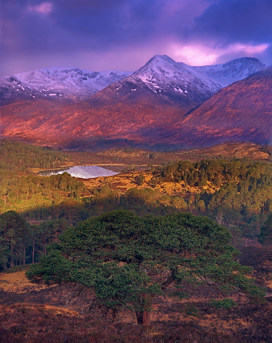 film scotland highlands largeformat glenaffric chrissmith 5x4