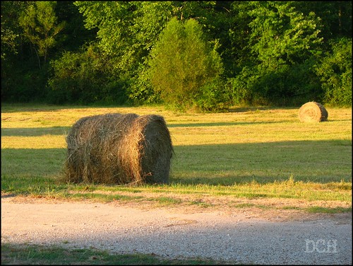 usa rural tennessee straw roll savannah hay haybale rolled lateafternoon philscamera goldensunlight