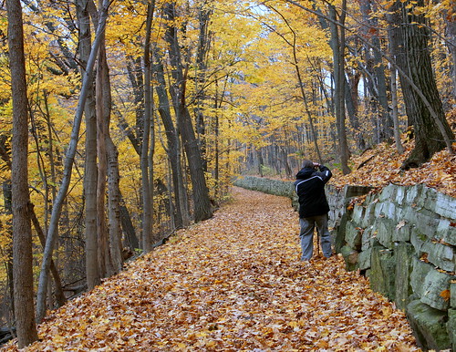 autumn me wisconsin forest woods hiking suzie beloit bighillpark