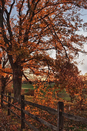 autumn trees sunset fall field fence evening dusk foliage hdr d300 2528zf hdrefexpro