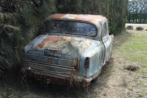 old newzealand car rusty nz weathered pointshoot sonycybershot vanguard hawkesbay phaseii teawanga dsch3 standardmotorcompany homelandsea britishcarmuseum