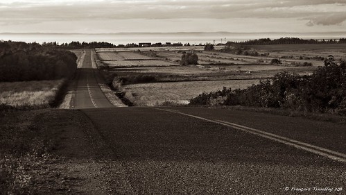 road blackandwhite sepia landscape
