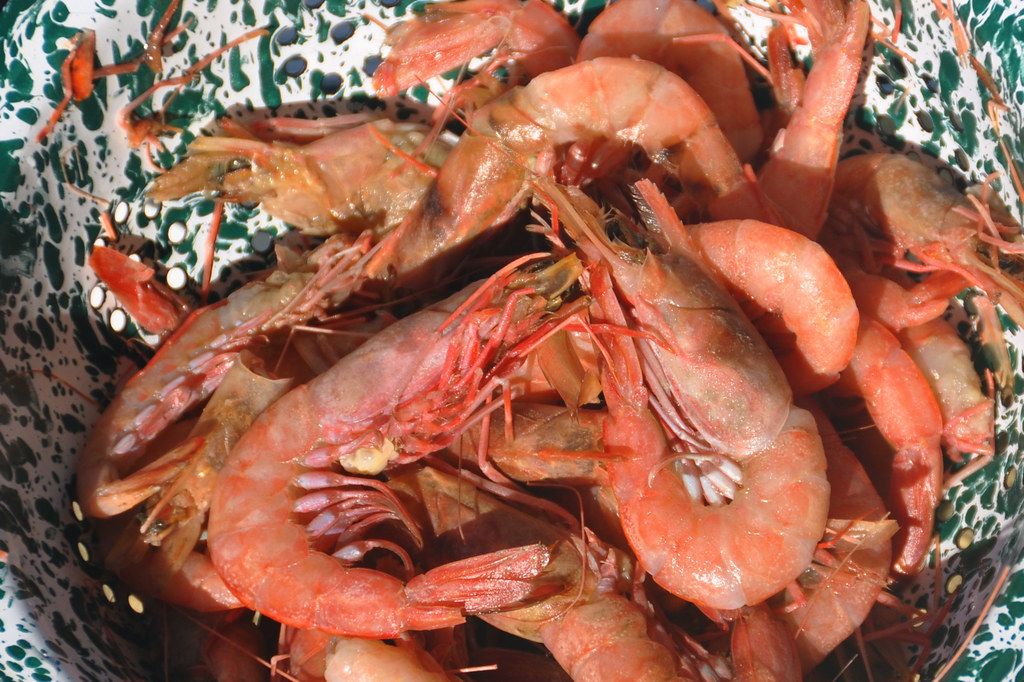 Roasted Royal Red Shrimp