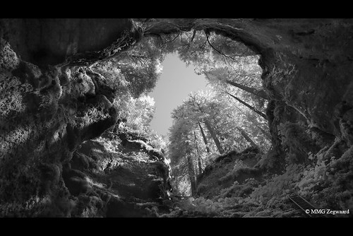 trees nature landscape photography switzerland swiss infrared cave martino icecave valdetravers monlesi mmgzegwaard 60feetunder martinozegwaard glacièredemonlési