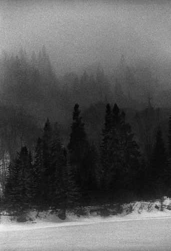 trees winter snow fog forest river landscape nikon quebec kodak cartier rivière d76 valley hp5 pushed nikkor jacques brouillard forêt f90x 80200 lford vallér