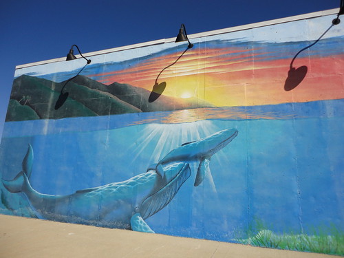 sunset mural carwash whale whales cheesy highway58 raymoremo paradisecarwash