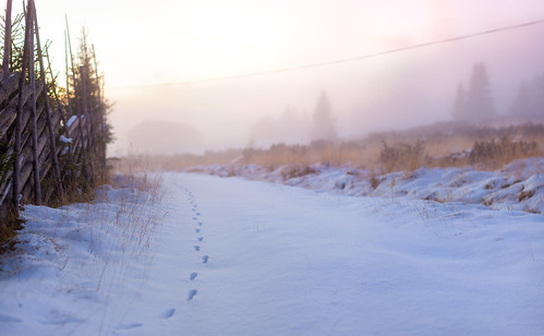 road sunset mist snow norway fog fence track lillehammer fox nordseter canonef50mmf12lusm canoneos5dmarkii nordsäter