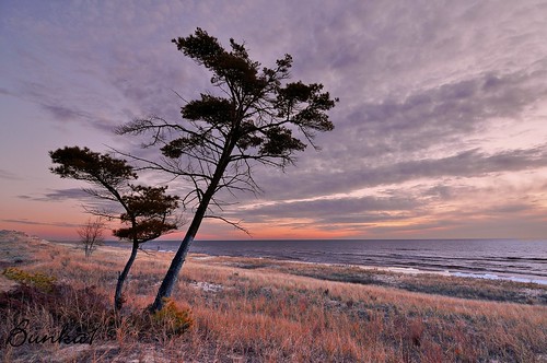 lake tree beach grass pinetree wisconsin clouds sunrise sand nikon lakemichigan tokina sheboygan sanddunes kohlerandrae d90 1118mm