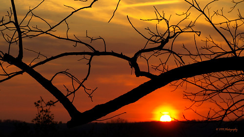 trees sunset sky cloud tree silhouette clouds sticks branch glow tn dusk tennessee branches silhouettes sunsets stick glowing limbs limb clarksville nightfall settingsun montgomerycounty riverviewcemetary