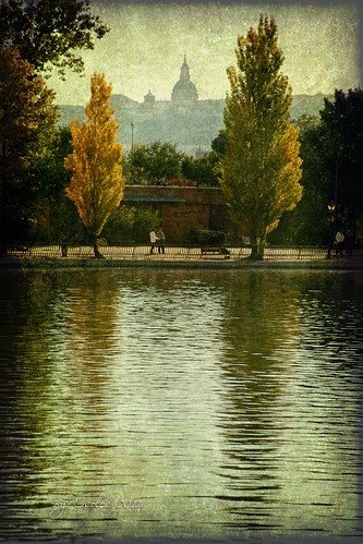 madrid autumn españa water lago spain agua europa europe otoño estanque textured reflejos casadecampo motat ellago osolev tatot