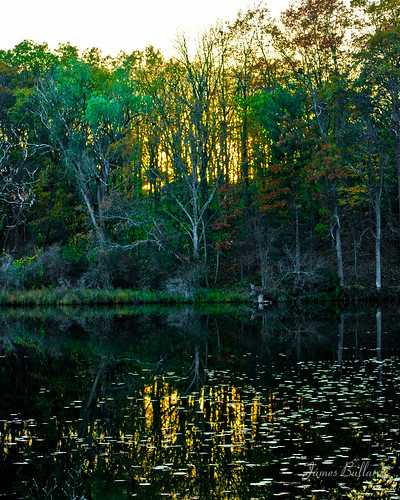 autumn sunset silhouette reflections landscape michigan lakes d5000