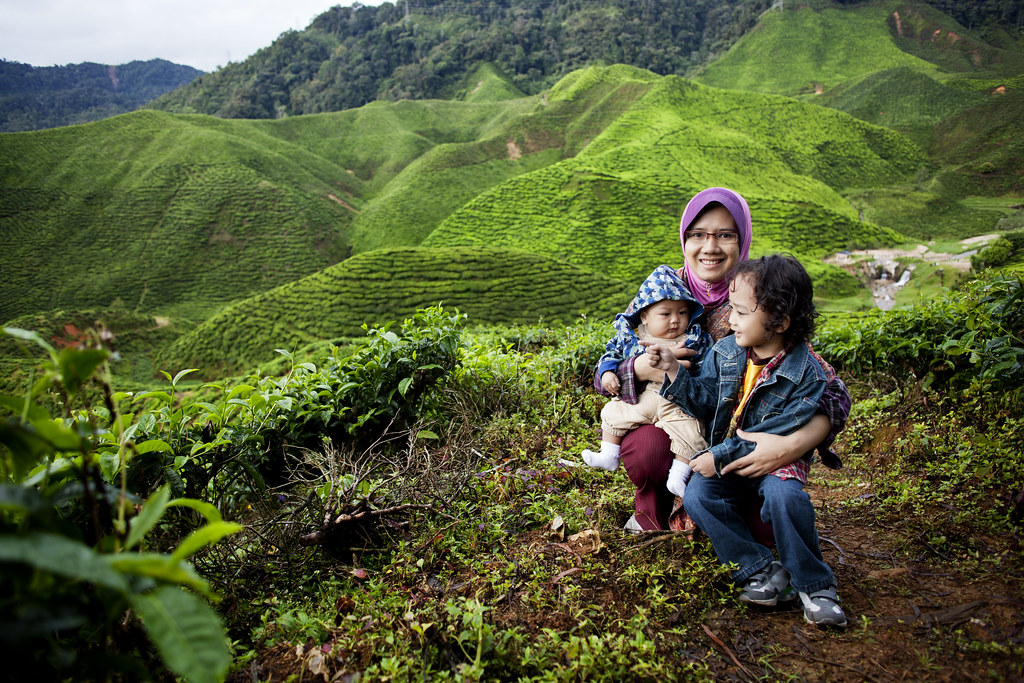 Family Photography at Cameron Highlands | Malaysia