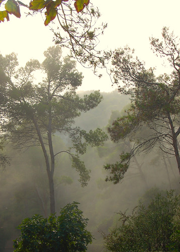 mist fog landscape spain catalonia vista ©allrightsreserved “flickraward”