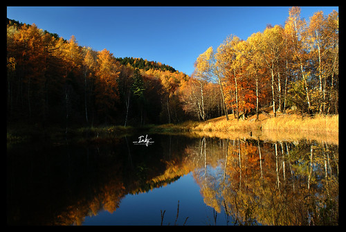 autumn mountains fall water forest montagne torino sony foliage piemonte alpha a200 autunno colori cpl boschi foreste orsiera rocciavrè