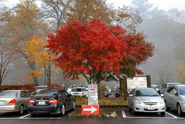 停車場也有紅葉，圍繞在迷霧中