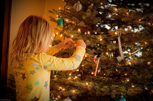 Christmas Tree 2011