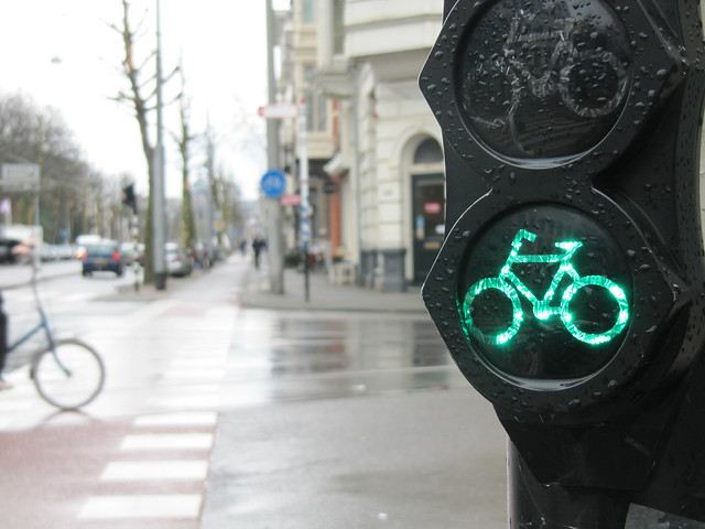 Bicycle traffic signal in Amsterdam