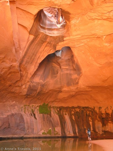 In the Golden Cathedral of Neon Canyon, Grand Staircase-Escalante National Monument, Utah