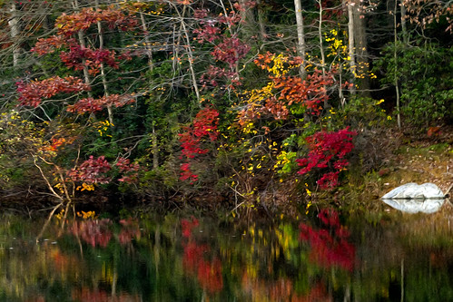 autumn reflection fall colors photoshop canon twilight mac cove maryland foliage 7d howardcounty ps5 scottscove pixelbender ef70200f28lisiiusm