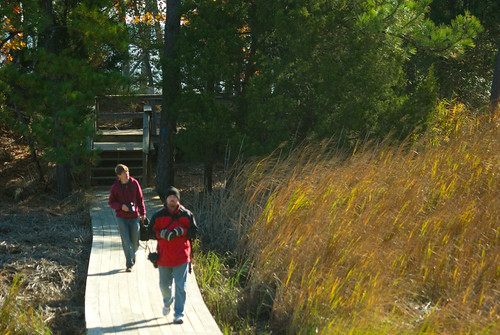 Explore marshes, shorelines, and woodlands at York River State Park