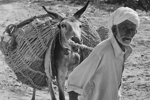 Old Man and the Donkey...