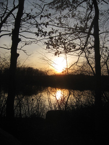 sunset sky usa sun tree water pond geocaching massachusetts abington amesnowellstatepark