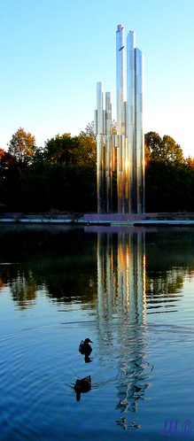 city sun reflection art water sunrise soleil duck day herfst eindhoven clear automn zon eend reflectie hensen