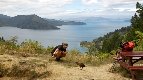 newzealand animals landscape coast nicky teararoa nelsonmarlborough thelongpathway