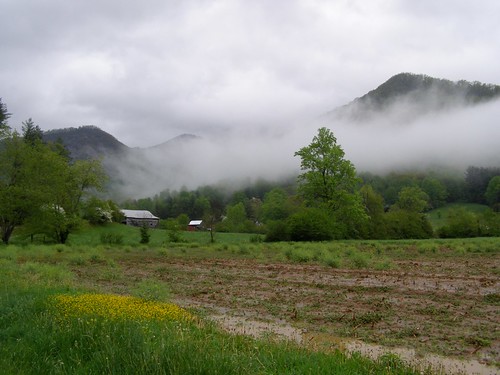 mist mountains field rain weather fog barn mud barns blacks mustard appalachian smokies blueridge moist bigivy craggies