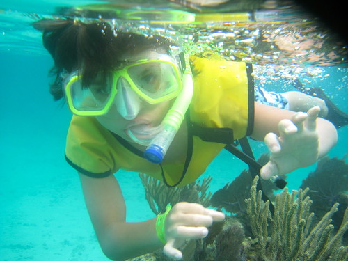 snorkeling at the reef second largest barrier reef in the world roatan honduras kid activity