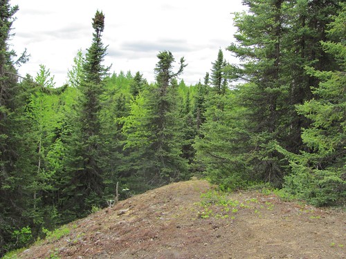lake alaska south birch blowout overlook spruce gloryhole redshirtlake nancylakes nancylakestaterecreationarea