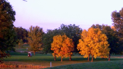 autumn trees color tree fall colors grass wisconsin golf landscape fallcolor fallcolors foliage golfing golfcourse greenery countryclub golfcart wi oshkosh golfcar utilityvehicle foxrivervalley foxcities colfcourse foxrivercities lakeshoremunicipal