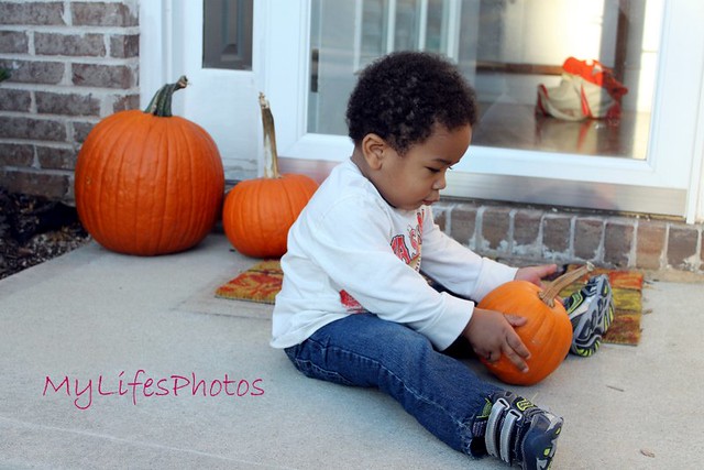 Pookah and the pumpkins