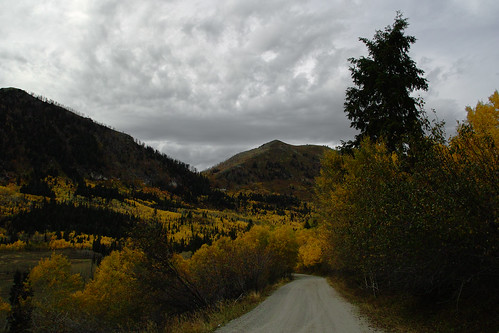 road autumn mountains fall rural landscape utah scenic foliage aspens