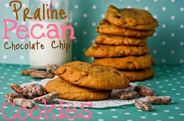 Praline Pecan Chocolate Chip Cookies from Confessions of a Cookbook Queen on @KatrinasKitchen
