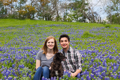 family flowers dog texas tx bluebonnets