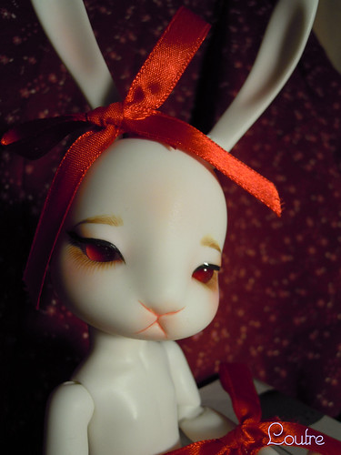 CocoTribe Ruby the Beauty Rabbit : voici Milk ! 6311412479_8f42d913a0