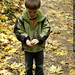 autumn foliage leaf walk in tryon creek state park    MG 1848