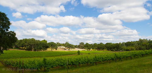 green clouds vineyard spring winery